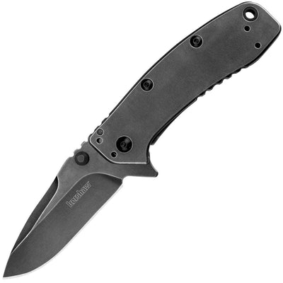 Kershaw Cryo II, 3.25" BlackWash Assisted Blade, Steel Handle - 1556BW