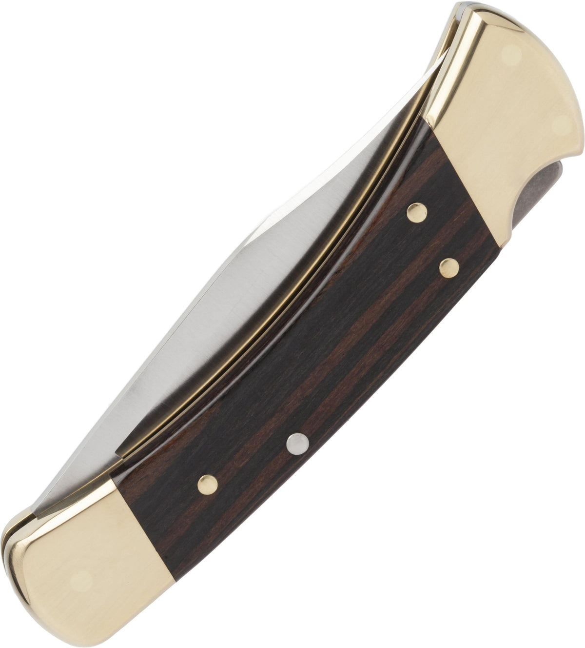Buck 110 Folding Hunter Pocket Knife, Dymondwood Handle