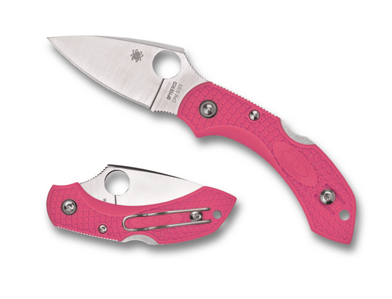 Dragonfly 2    Pink Heals
