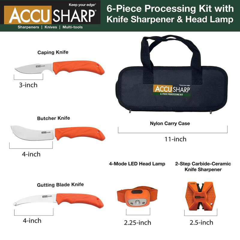 FPI 738C  ACCUSHARP 6PC PROCESS KIT W/SHRPN HDLMP