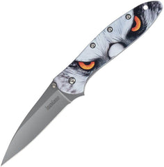 Kershaw 1660HAWK Ken Onion Leek CCI Assisted Liner Lock Flipper Knife 3
