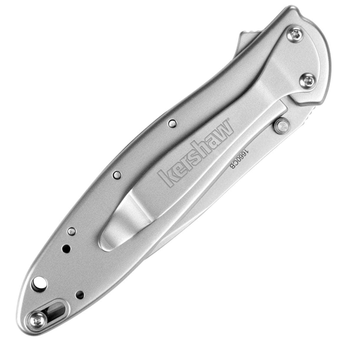 Kershaw Leek, 3" Assisted Composite Blade, Steel Handle - 1660CB