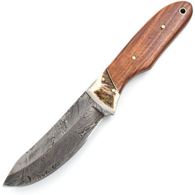 White Deer Bolo Knife, 4.85" Damascus Blade, Walnut Handle, Sheath
