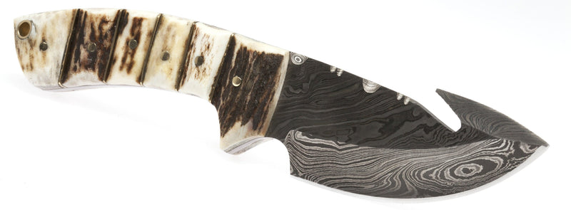 Damascus Steel Skinner Knife w/ Stag Handle and Gut Hook