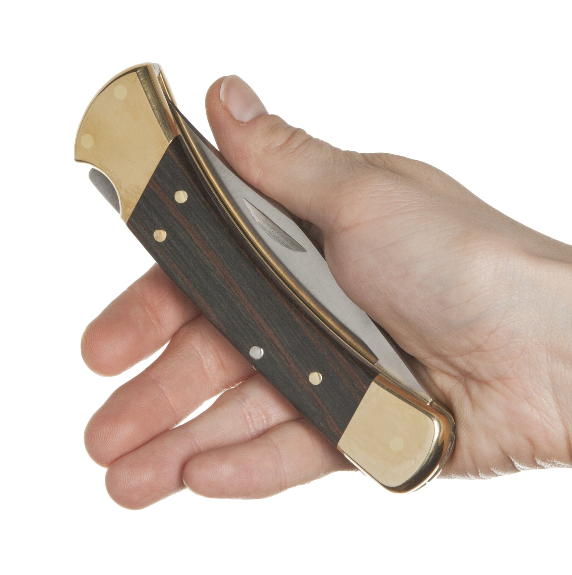 Buck 110 Folding Hunter Pocket Knife, Dymondwood Handle