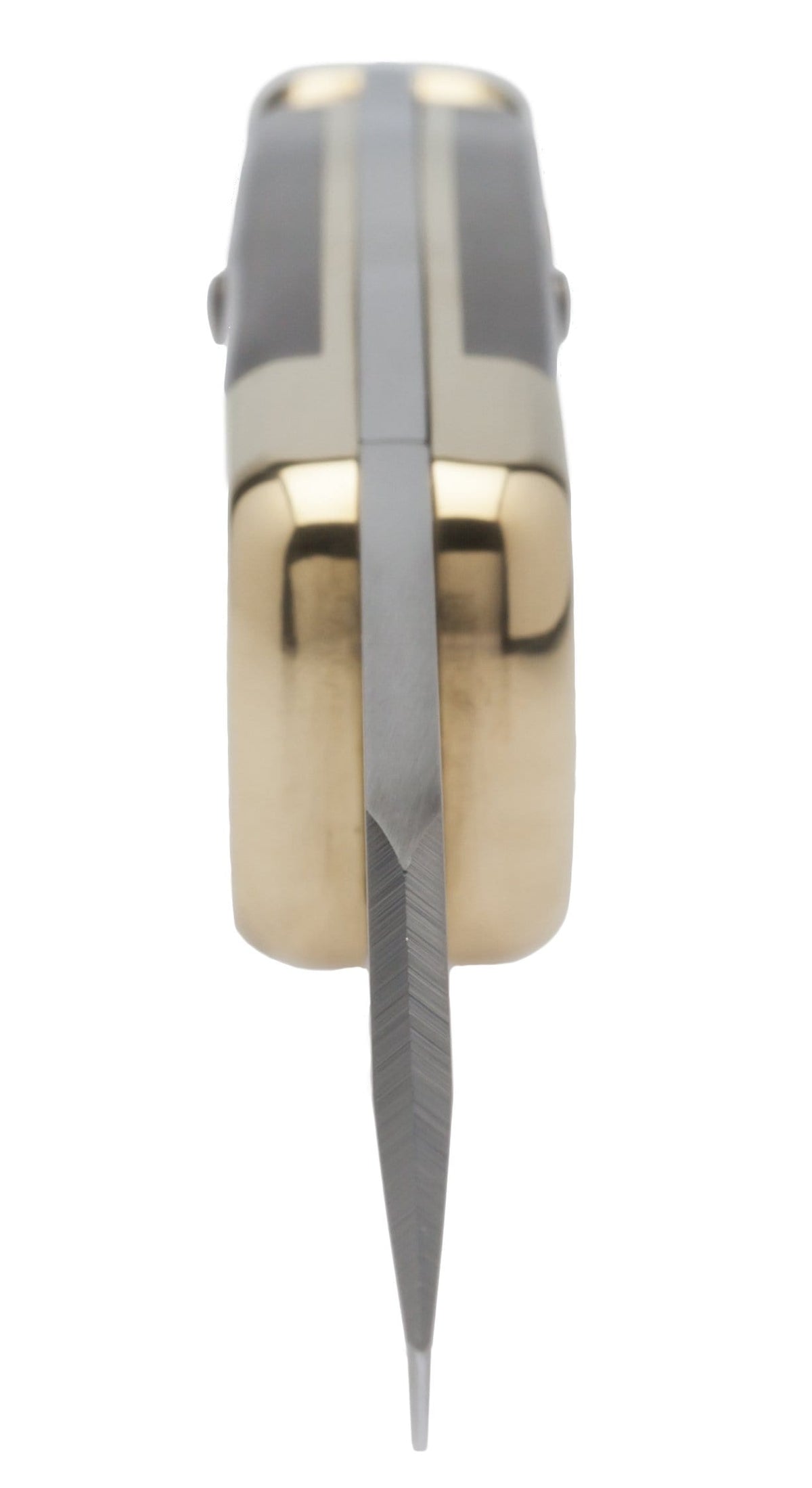 Buck 110 Folding Hunter Pocket Knife, Dymondwood Handle