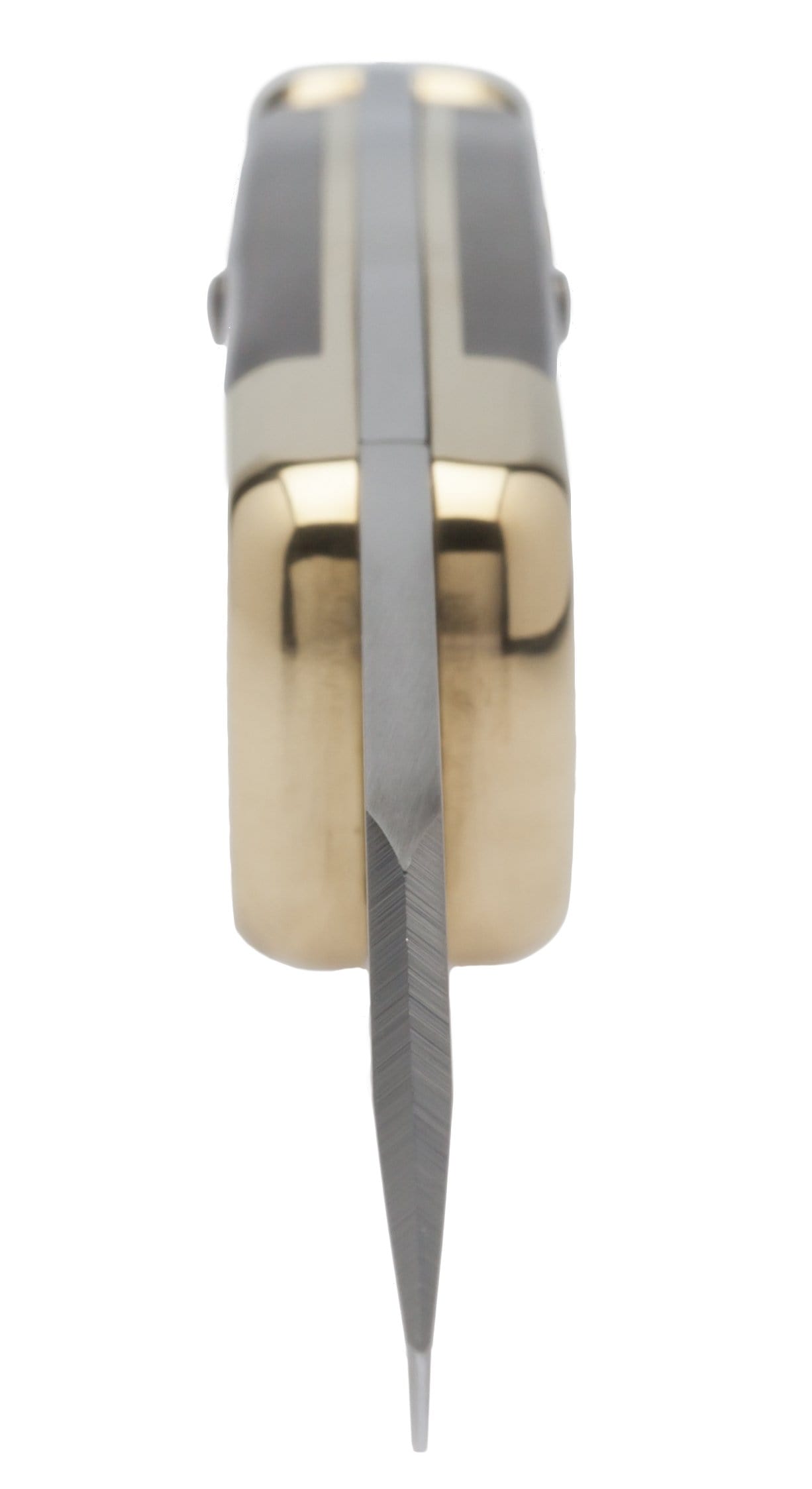 Buck 110 Folding Hunter Pocket Knife, Dymondwood Handle