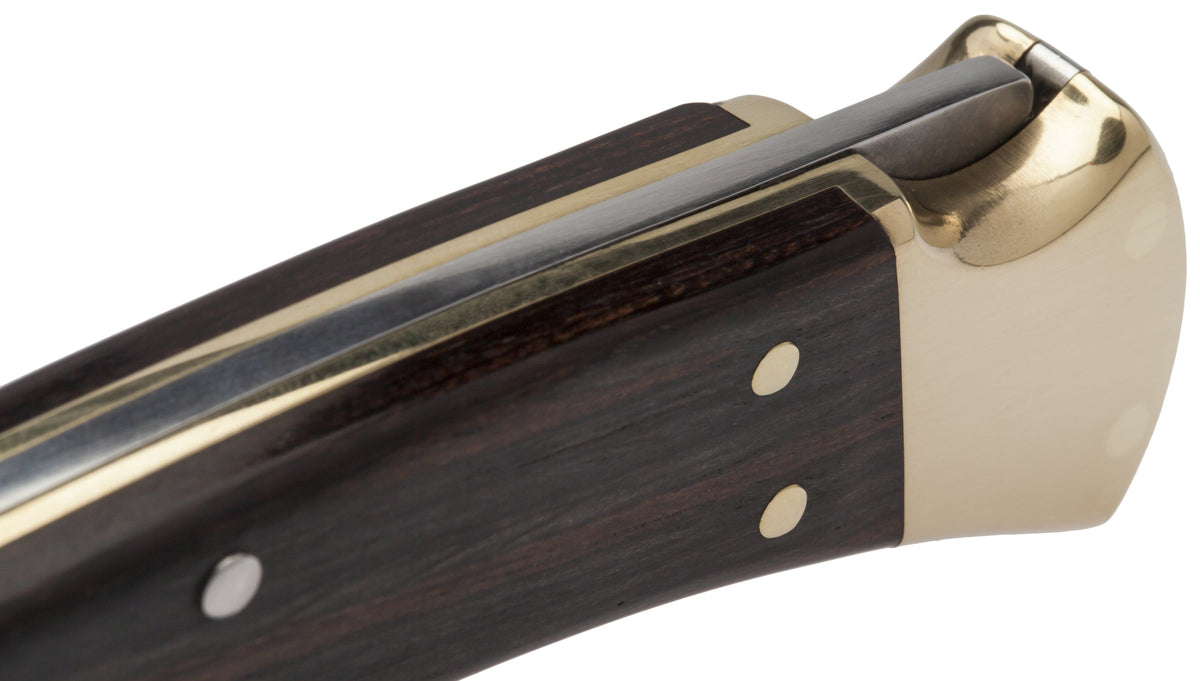 Buck 110 Folding Hunter Pocket Knife, Dymondwood Handle