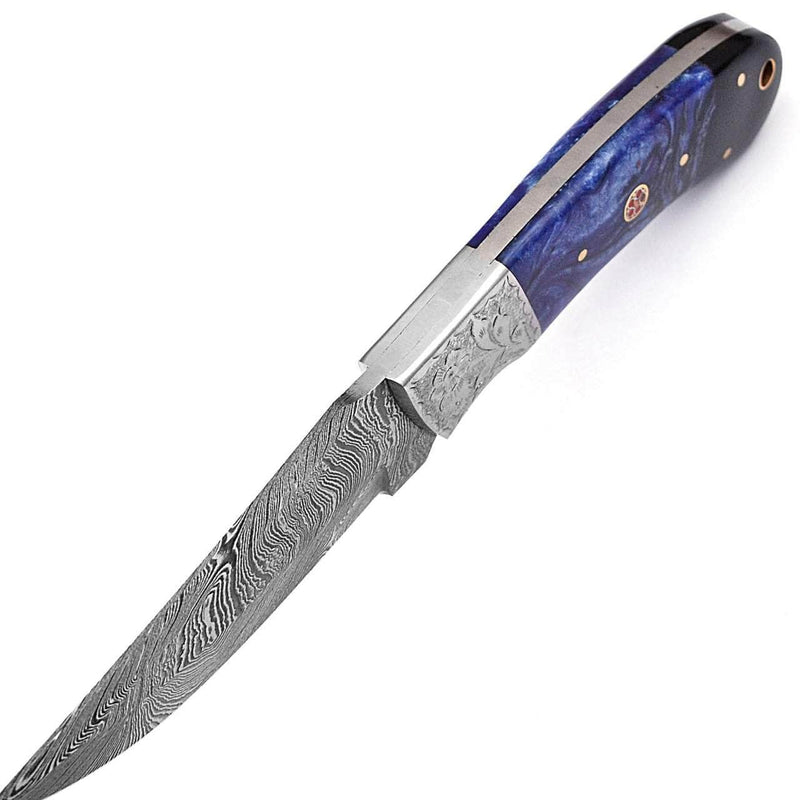 WHITE DEER Damascus Steel Knife Black & Blue Buffalo Horn Handle