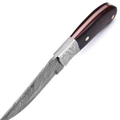 WHITE DEER Damascus Steel Knife with Cocobolo Wood Handle